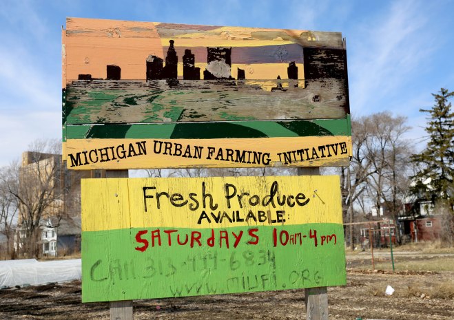 The Michigan Urban Farming Iniative / Crafted in Carhartt