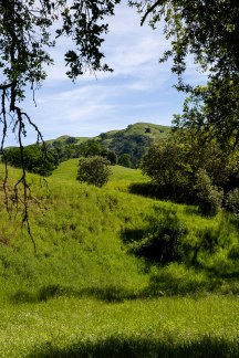 Welcome to Sunol, California / Crafted in Carhartt